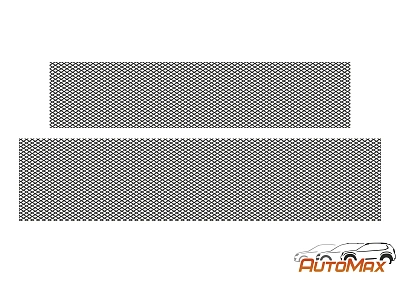 Индивидуальная защитная сетка для а/м Omoda C5